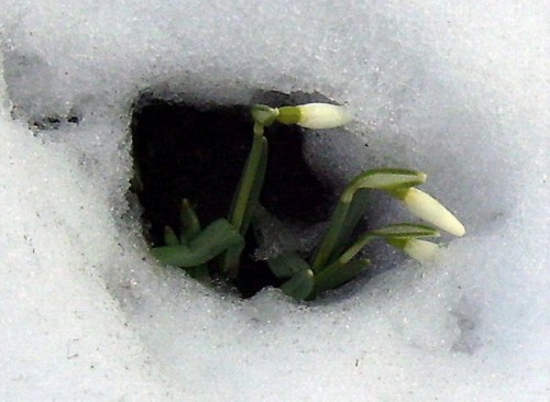Поздний снег