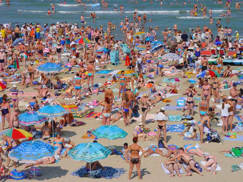 Земноводные