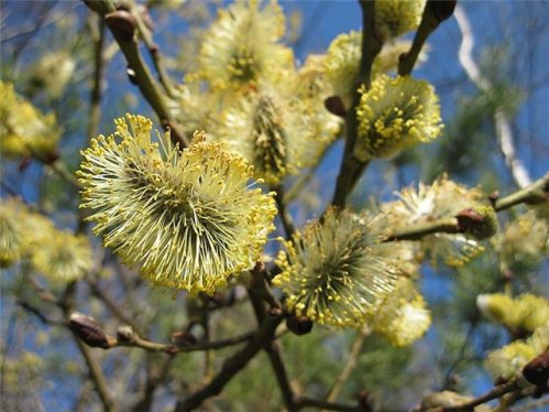 Пора прощаться