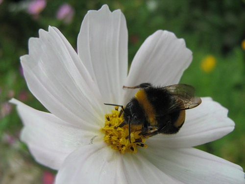 Калейдоскоп