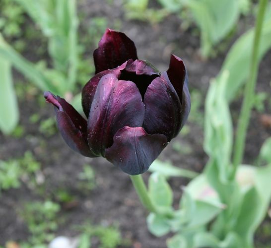 Помоги мне, Иисус умоляю!