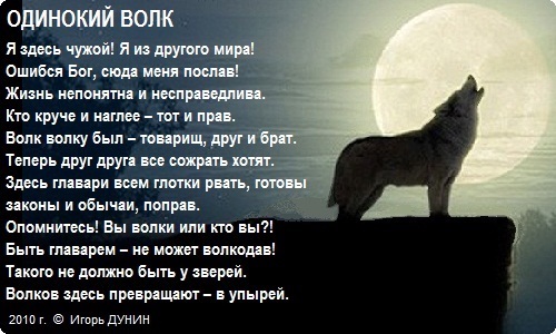 Одинокий Волк - Ч2 - Песня