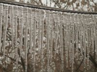 Мартовские дни. 19. 03. 2005