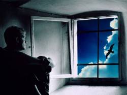 Бег весны. 03. 04. 2005