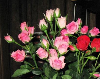 Поздравленье с днём рожденья!