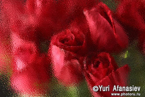 Я счастлива, что ты есть!