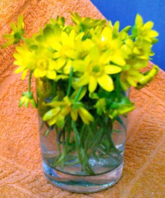 Ожидание весны