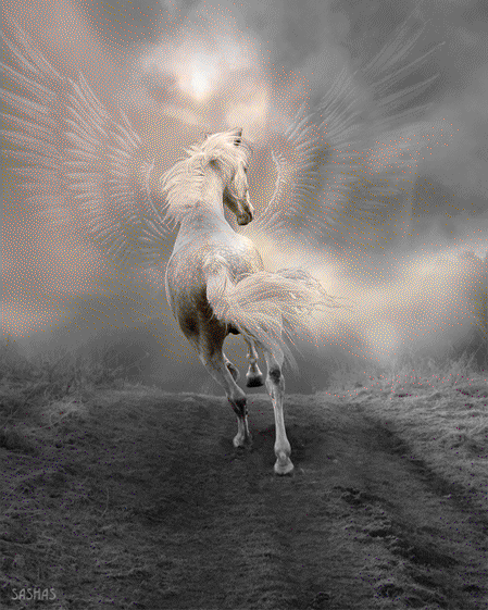 Любовь - мой кумир