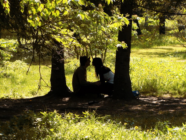 Воспоминания о Тебе