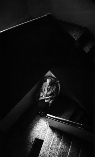 Вершина Суеты