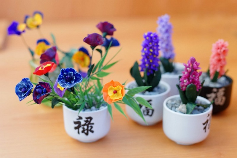 Акро. - Загадка. Гиацинт