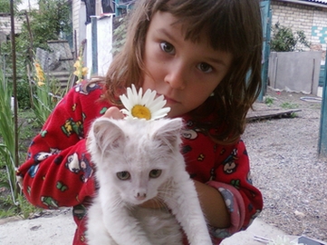 Дашкин ужин