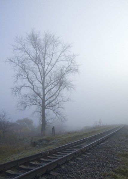 Как больно режет душу тишина...