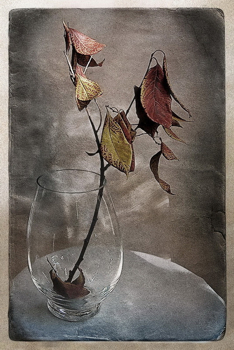 Время варило варенье...