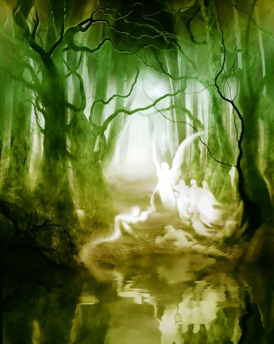 Зеркальные отражения