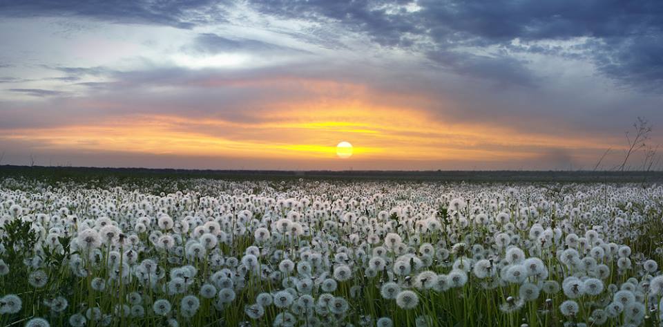 О том ли ныне я пишу?