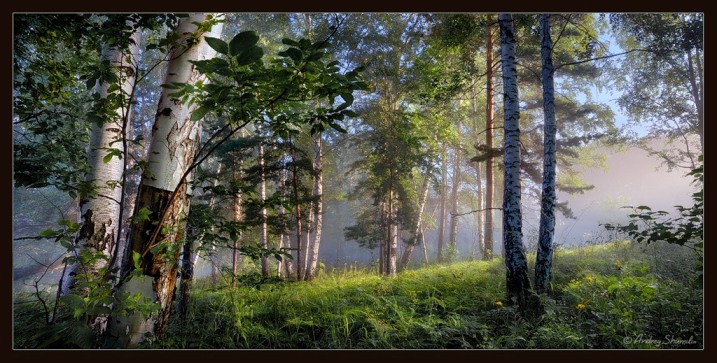 Средь жизненных запутанных сует...