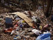 Весна дивится нашим недостаткам