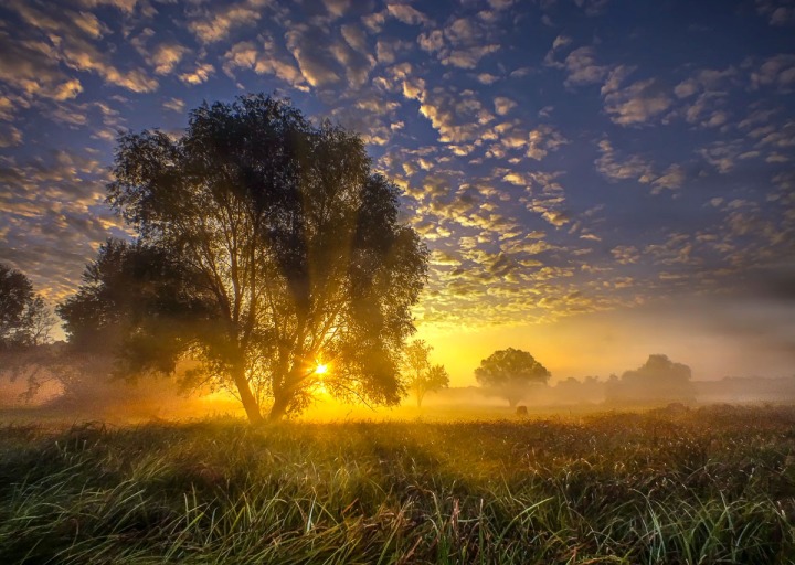 А я стою у неба алтаря...