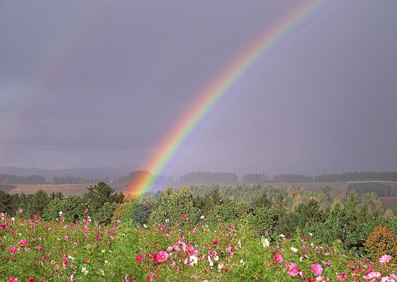 Вот рвануть бы вокруг света...