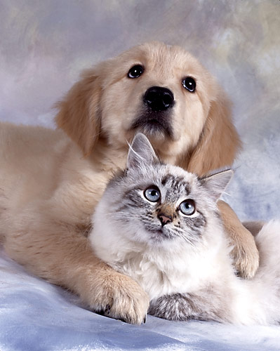 Одиночество