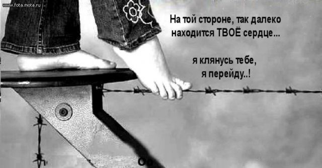 Последний снег