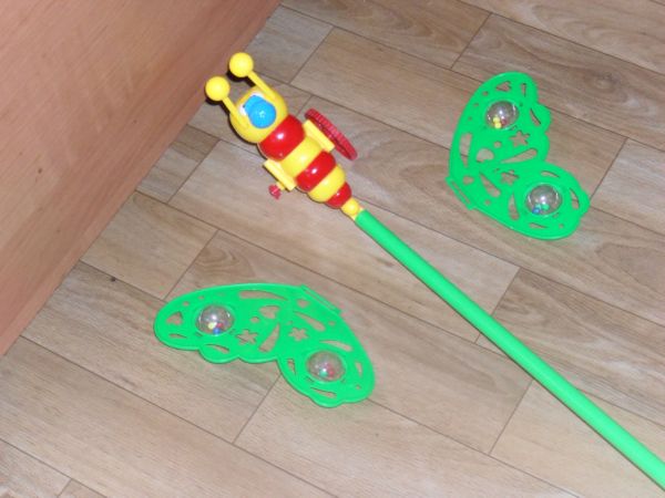 Из бабочек в гусеницы