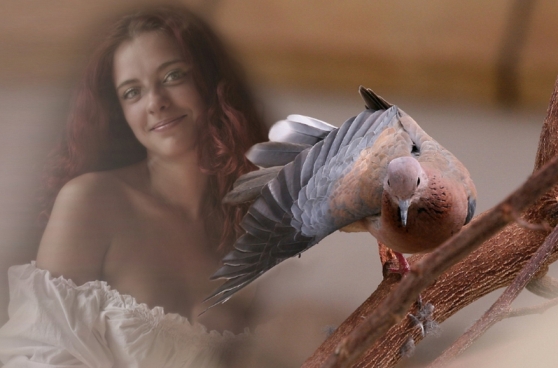 Ты для меня милее всех, дороже...