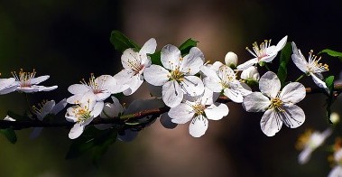 минута молчания