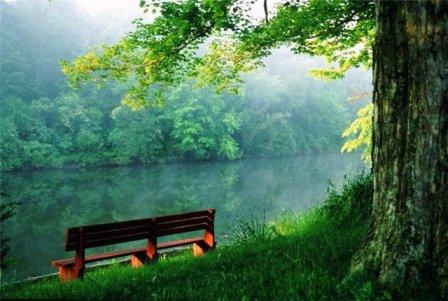 Во сне и наяву