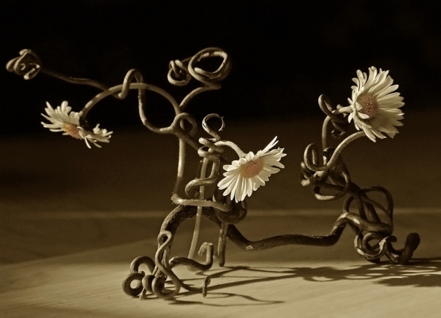 воспоминания...