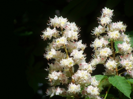 Дождь за окном