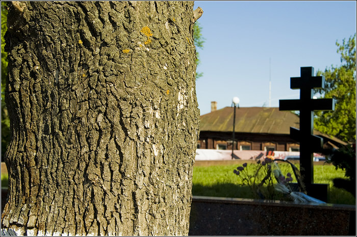 2010 Катынь признать, устыдиться, идти дальше