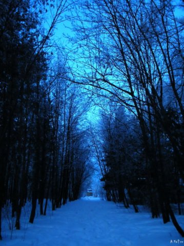 Мое сердце в тумане