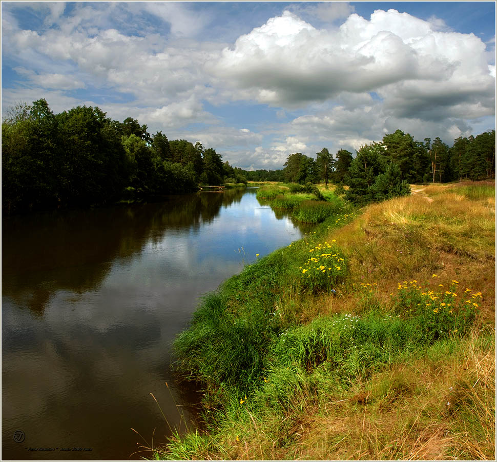 Мысли по порядку