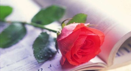 Стихи писаны не мною