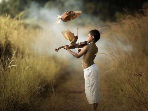 Звук натянутой струны