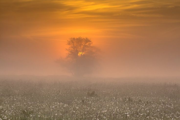 Здесь с вдохновением душой своей творю!