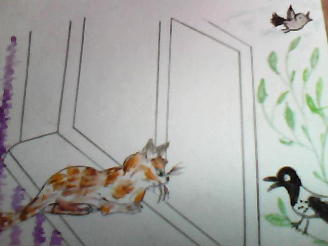 Чисто вымыто окошко