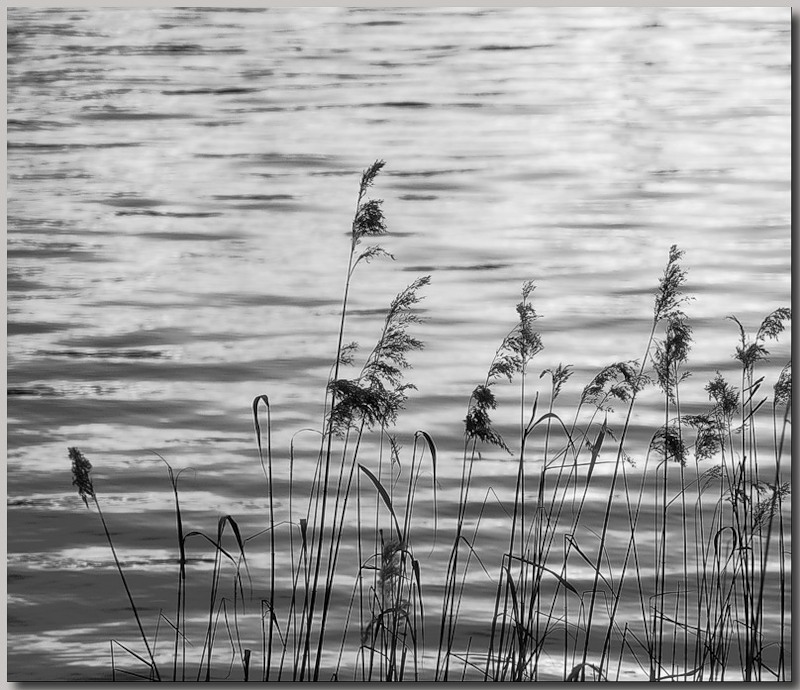 Порою бывает надо высказаться о наболевшем...