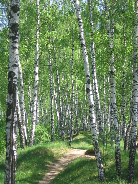 Мне снится...