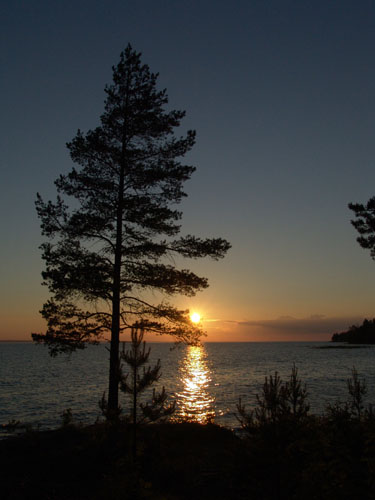 Валерию Долгову