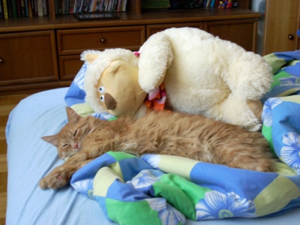 ТАпА и РыжЫй