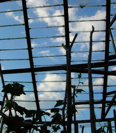 Всё так временно...