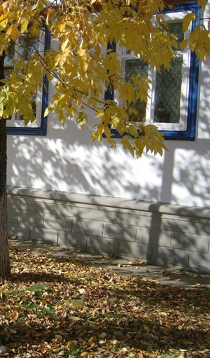 Осенняя идиллия