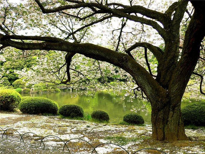 Не думать о смерти всерьёз - какая смешная забава!