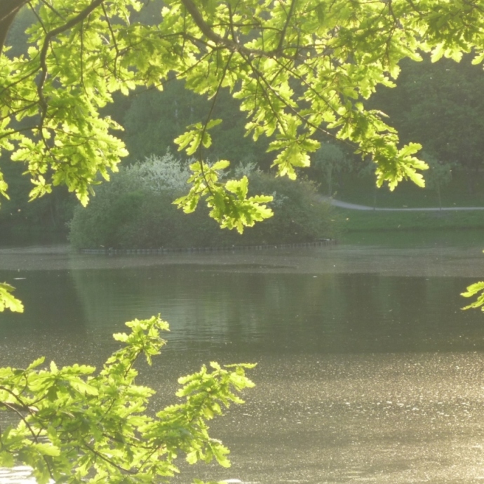 Вечер. Месяц облачком