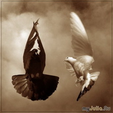 А дело всё в гармонии