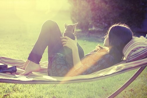 о чем шепчут ночи