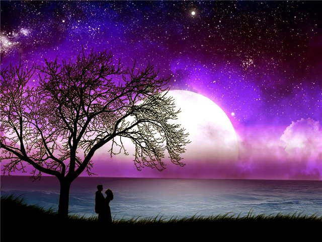 Влюбленная ночь